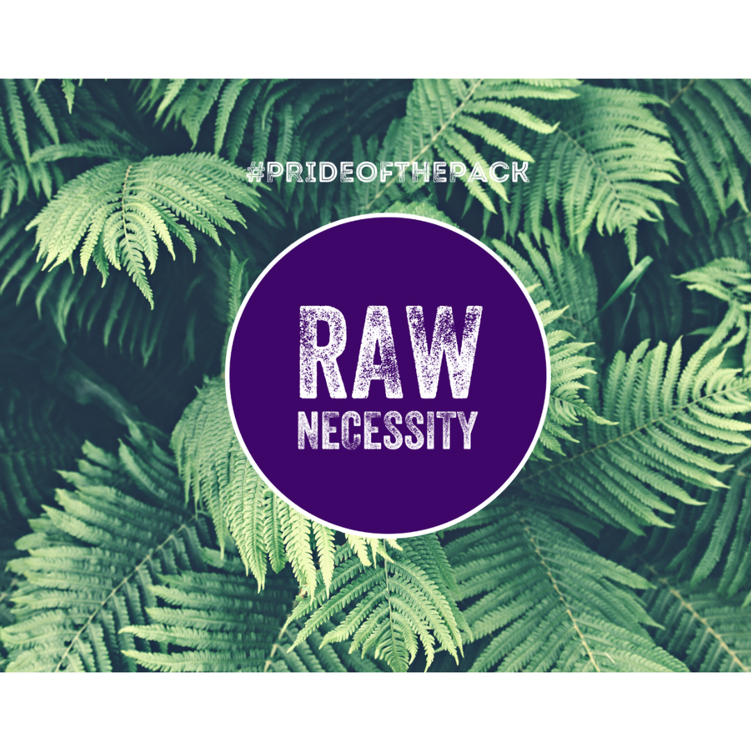 Raw Necessity Duck 80:10:10