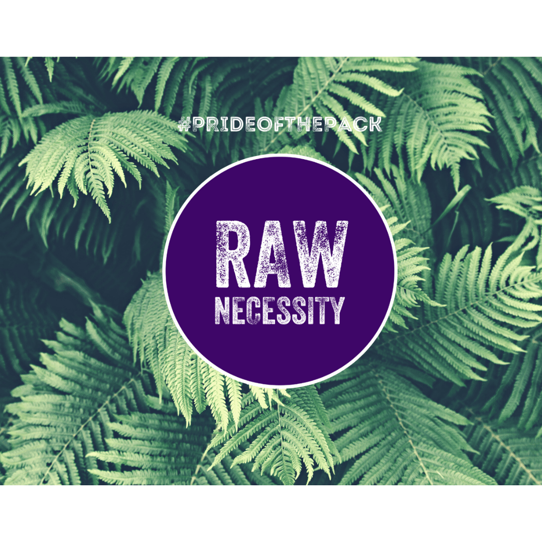 Raw Necessity Duck 80:10:10