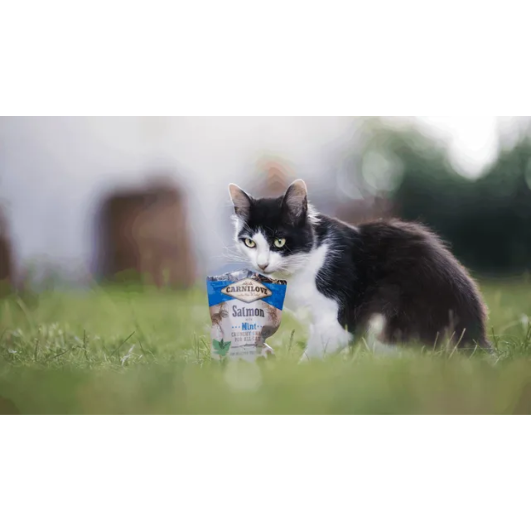 Carnilove Salmon with Mint Cat Treats