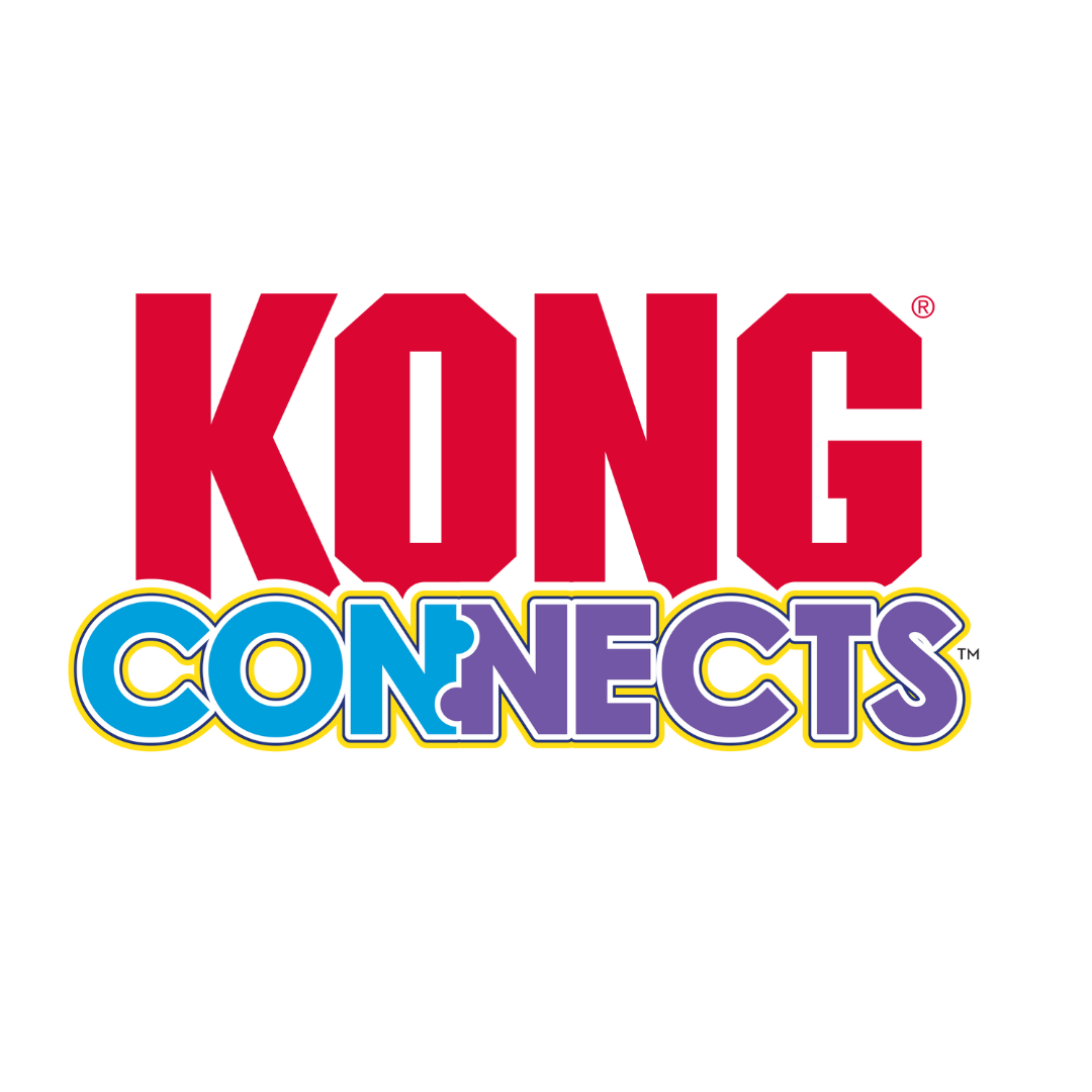 Kong Connects Logo