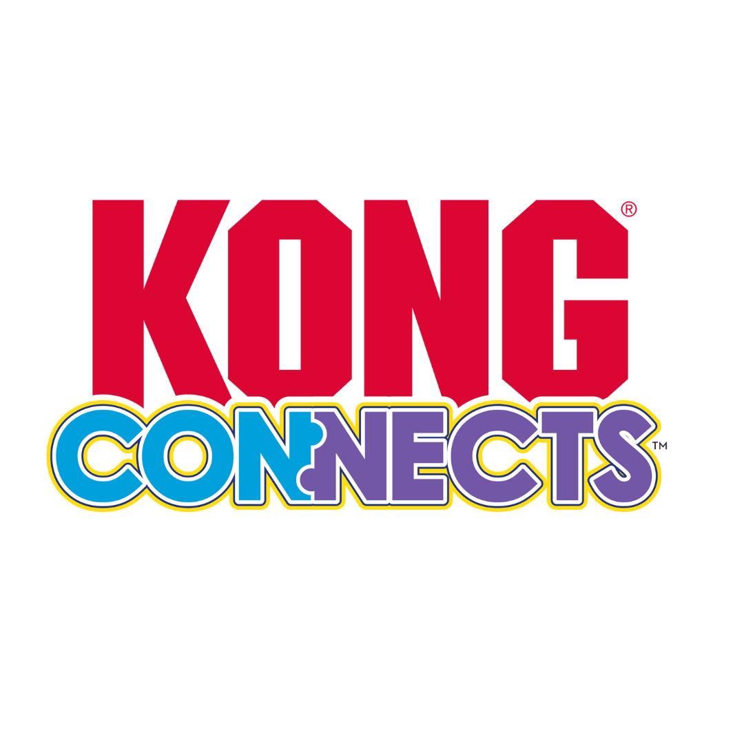 Kong Connects Logo