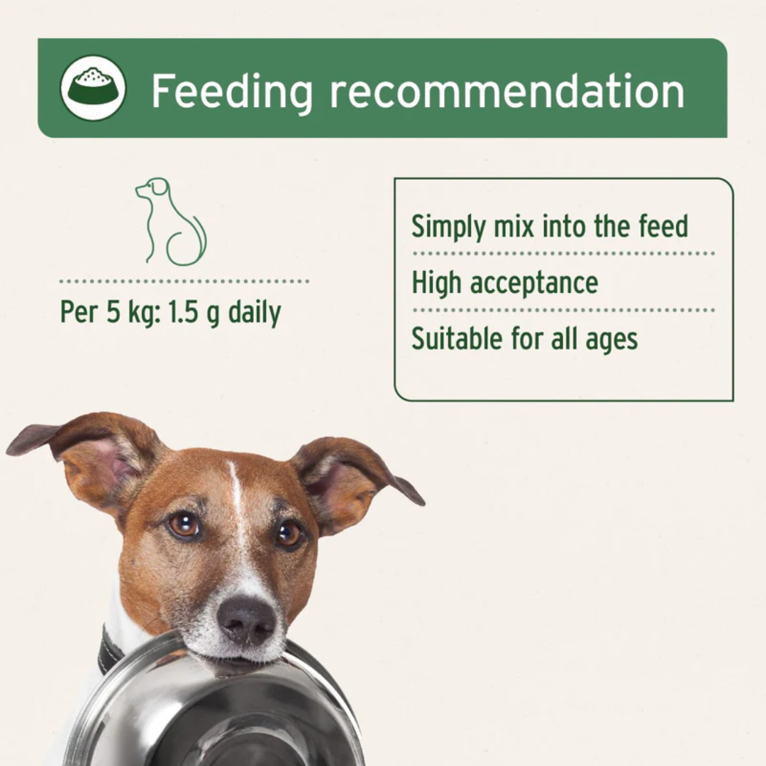 The feeding guidelines for the Aniforte Bovine Blood Powder 250g. Small dog with a bowl in their mouth in the corner.