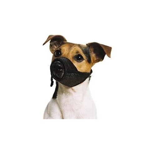 Jack Russel Terrier dog wearing mesh muzzle