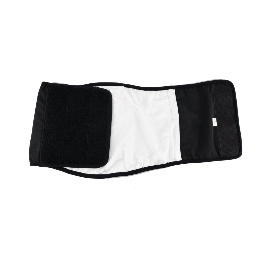 Inside view of a Finnero JustInCase Male Dog Belly Band