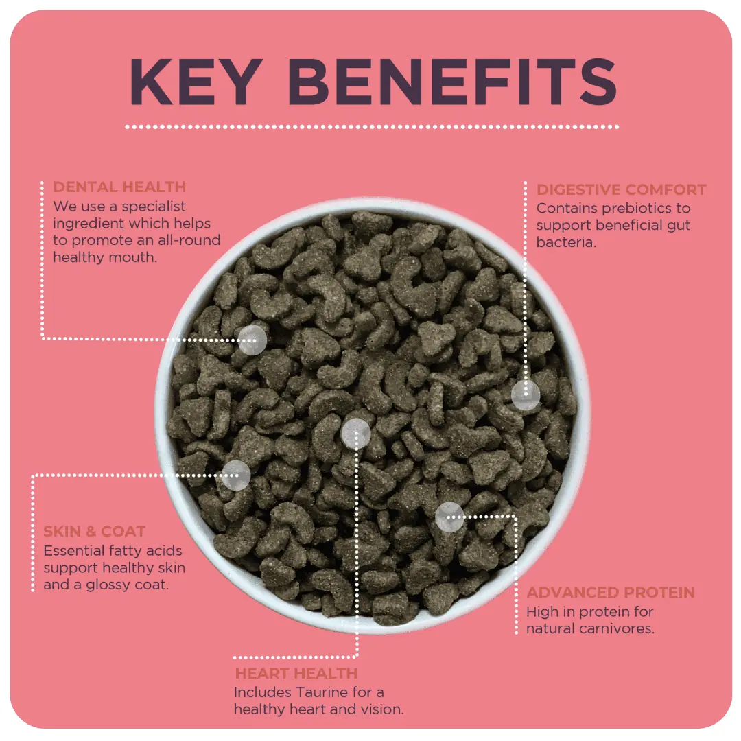 An infographic by Burgess stating the benefits of this cat food. There is a bowl of cat food in the middle of the photo.