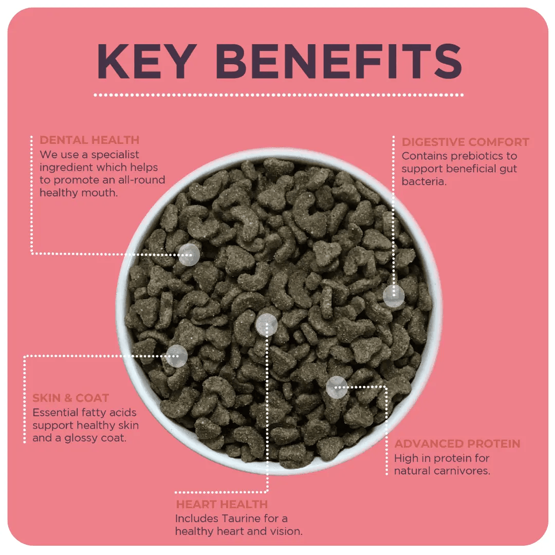 An infographic by Burgess stating the benefits of this cat food. There is a bowl of cat food in the middle of the photo.