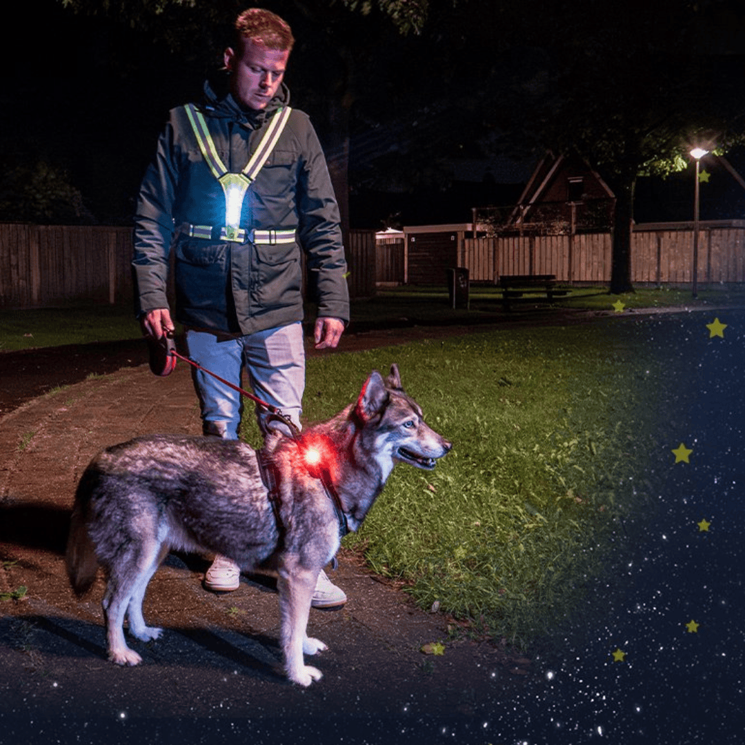 Nightwalk Safety Light