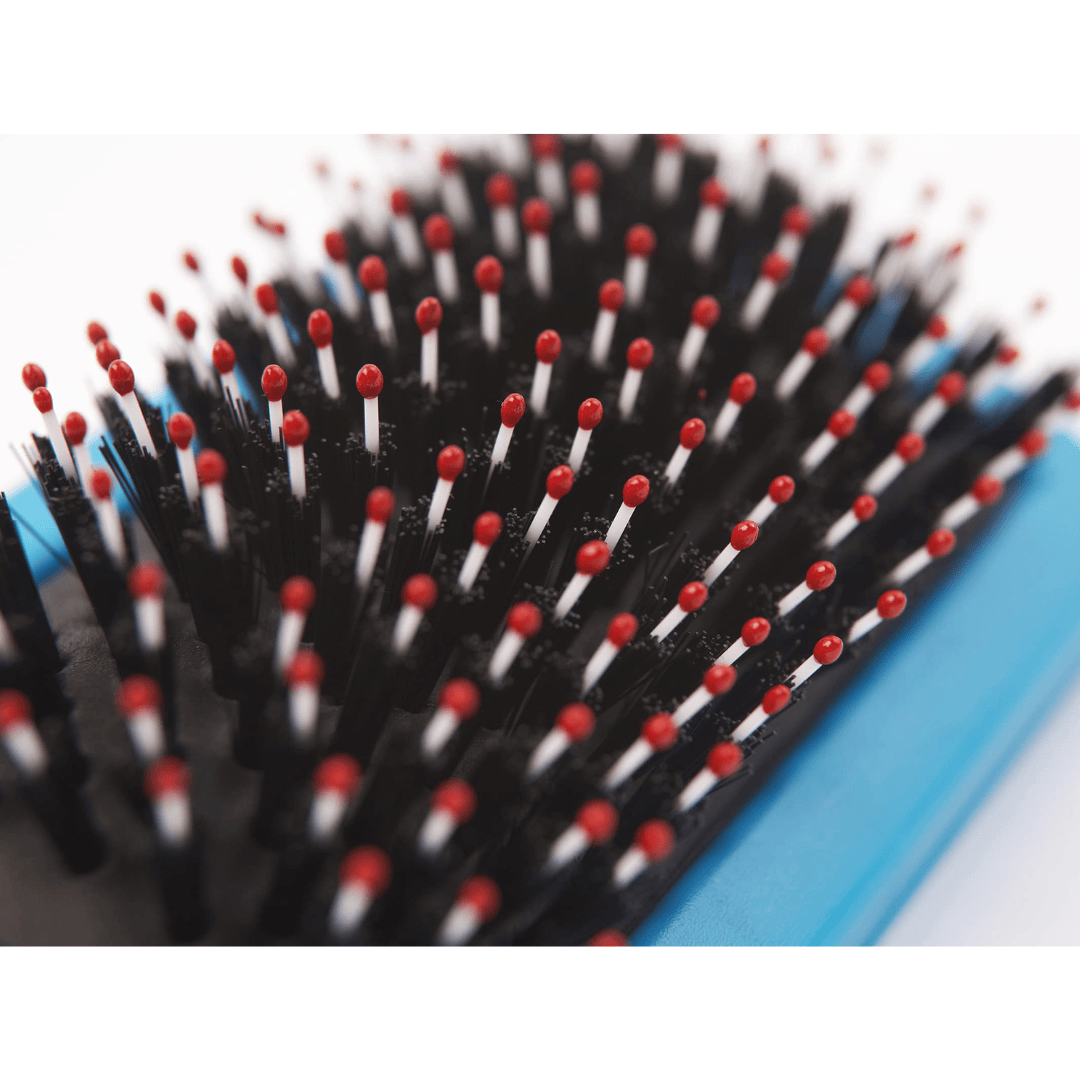 Ergo Hedgehog Slicker