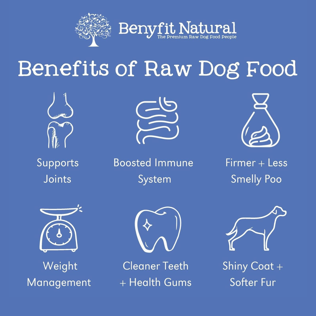 Benefits of raw dog food by Benyfit