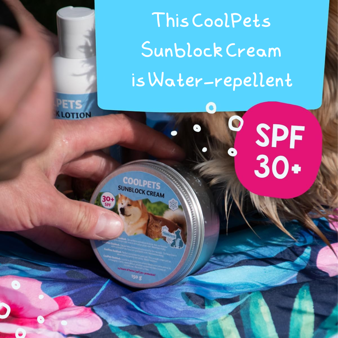 An image of the Sunscreen Lotion for Dogs 200ml and the Sunscreen Cream for Dogs 150g on a cooling mat. there is bubbles, a person and a dog in the image too. "This CoolPets Sunblock Lotion is Water-repellent" and "30+spf"