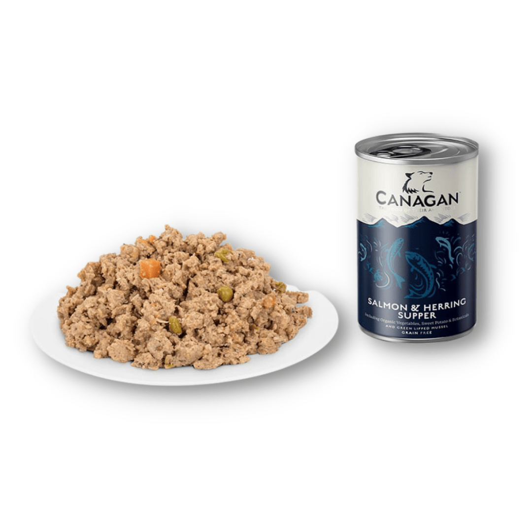 Canagan Salmon and Herring Supper Wet Food 400g with the contents served on a plate.