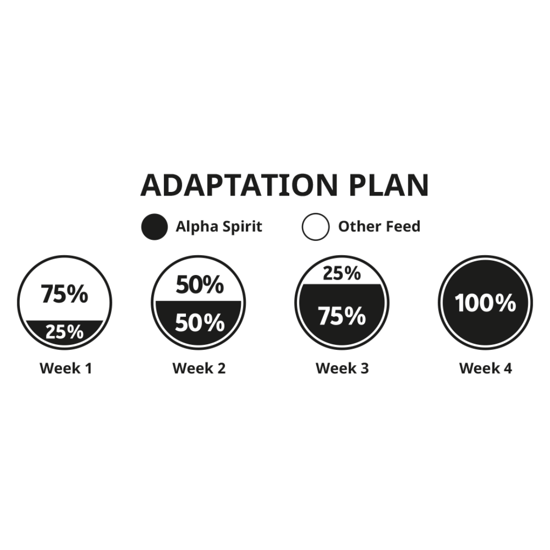 Alpha Spirit weening guideline for switching to their foods.