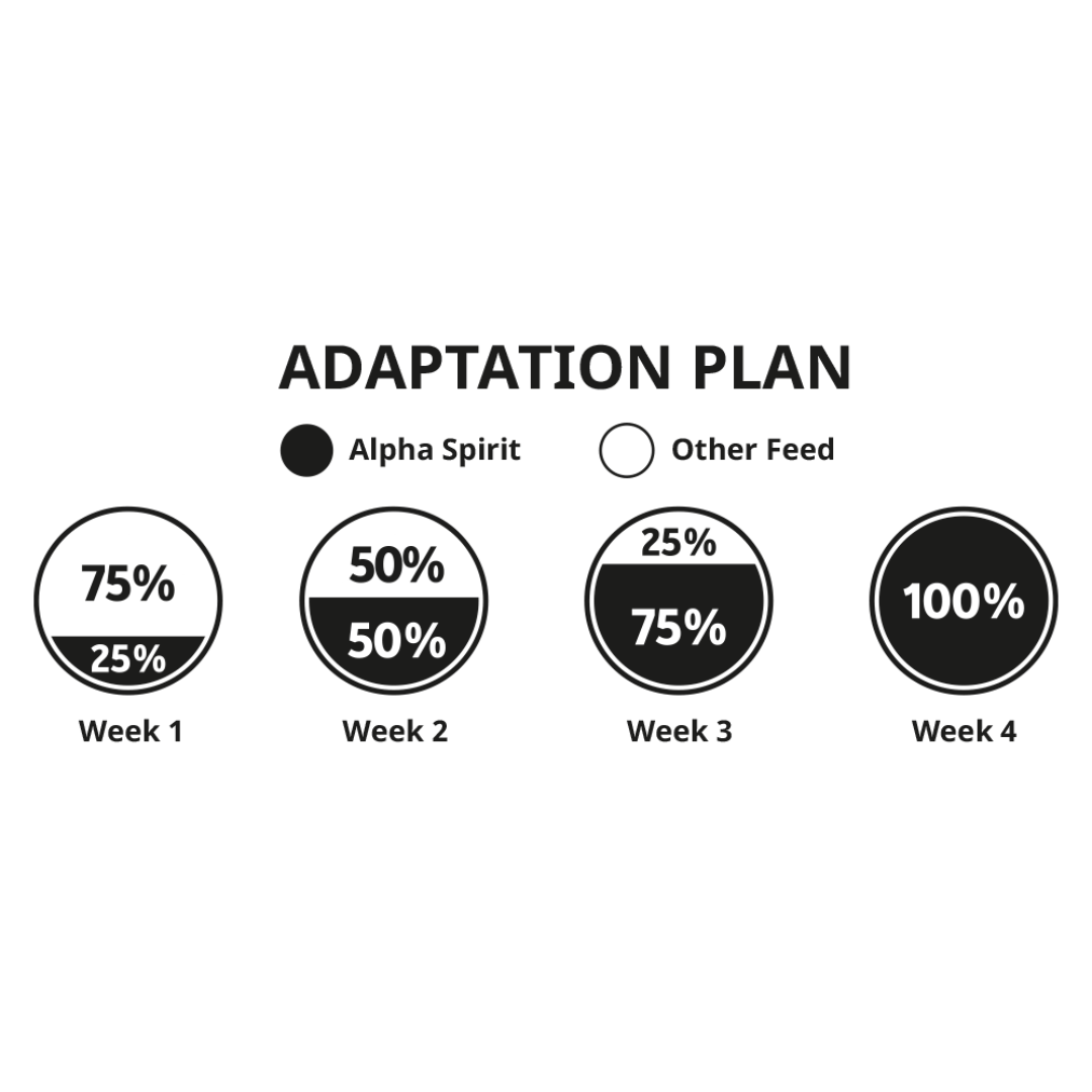 Alpha Spirit weening guideline for switching to their foods.