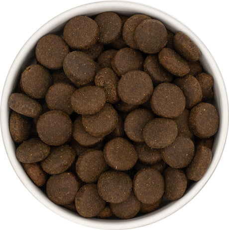 Nourish Rite Grain Free Adult Large Breed Dog Food - Turkey