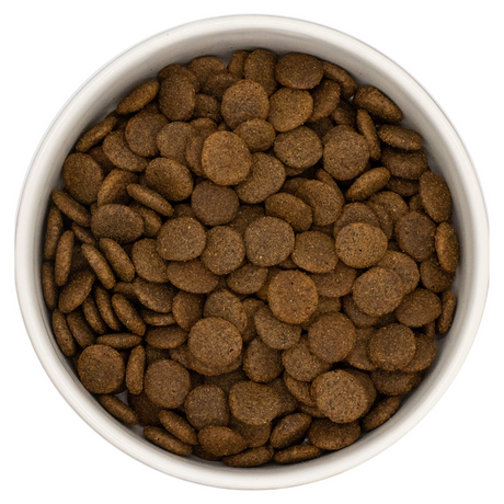 Nourish Rite Grain Free Adult Dog Food - Venison