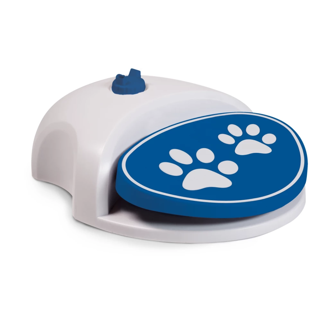 Cool Pets Splash Water Fountain
