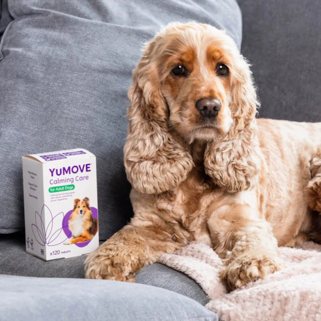 Yucalm Tablets for Dogs
