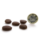 5 pieces of Canagan Grain Free Scottish Salmon kibble beside a one pound coin.