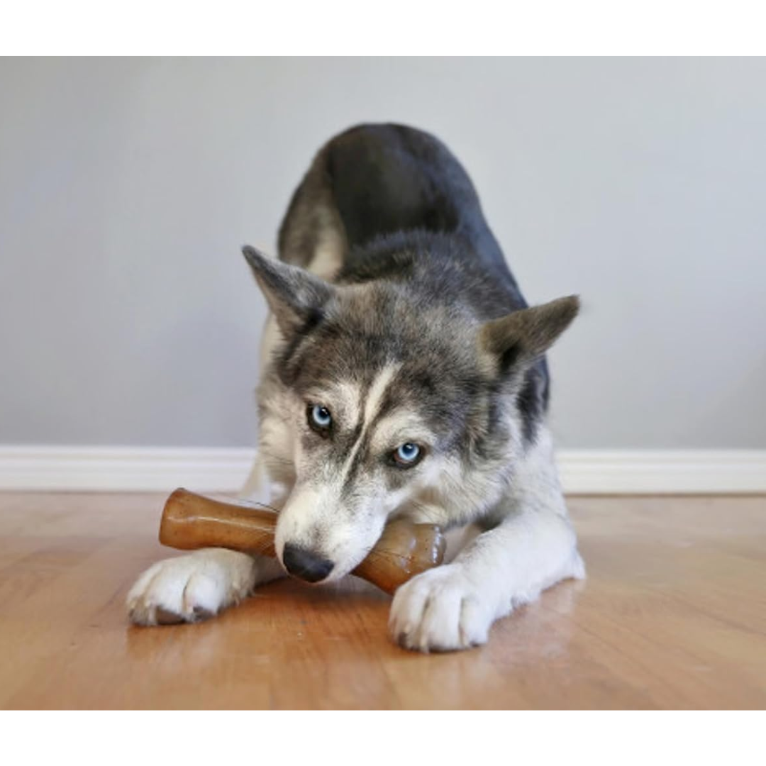 Nylabone Puppy Bone XL