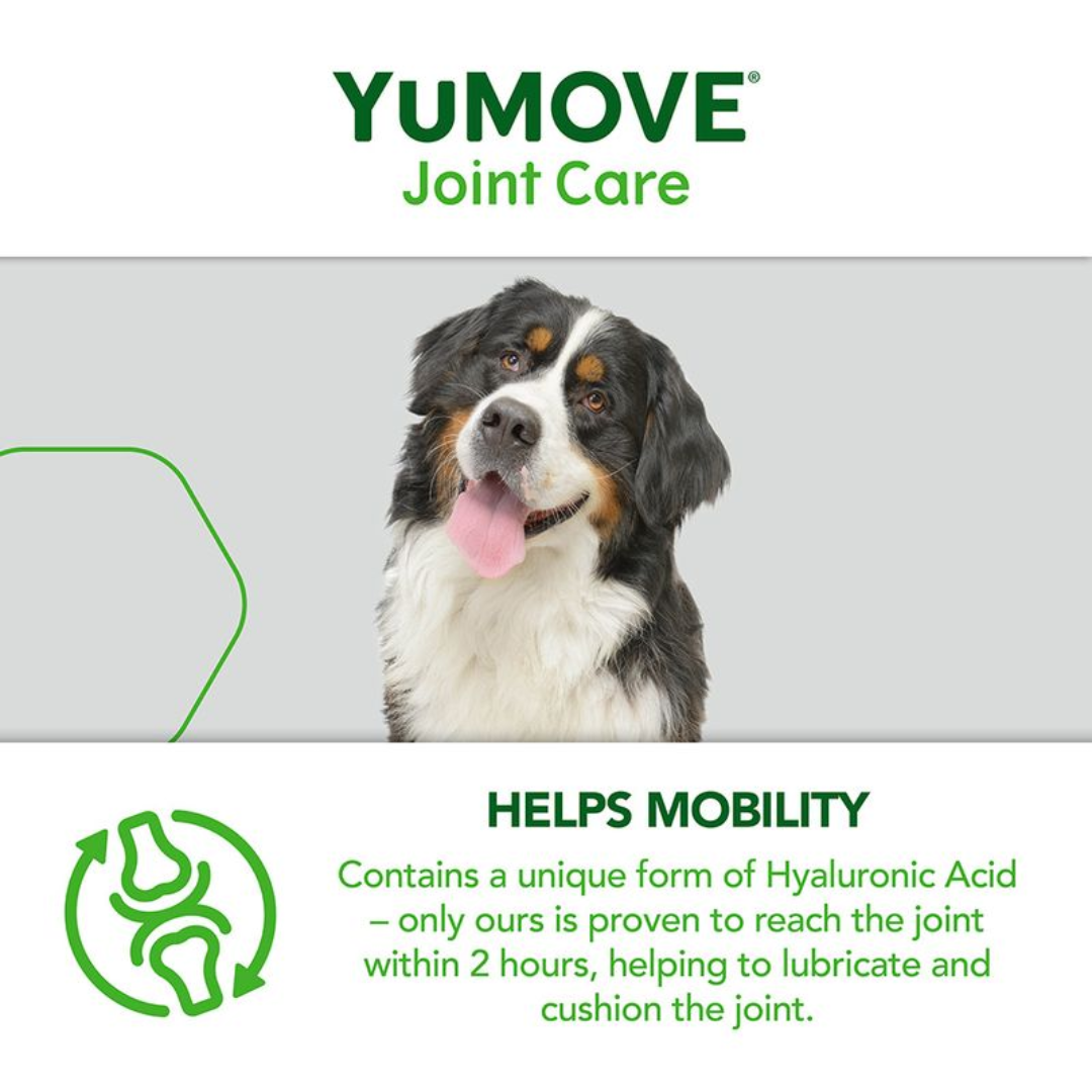 YuMove Joint Supplement Tablets for Dogs
