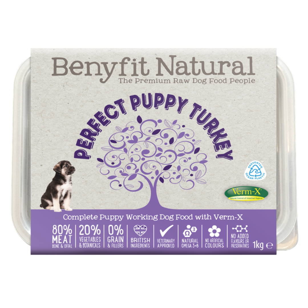 Benyfit Perfect Puppy Turkey Complete 1kg
