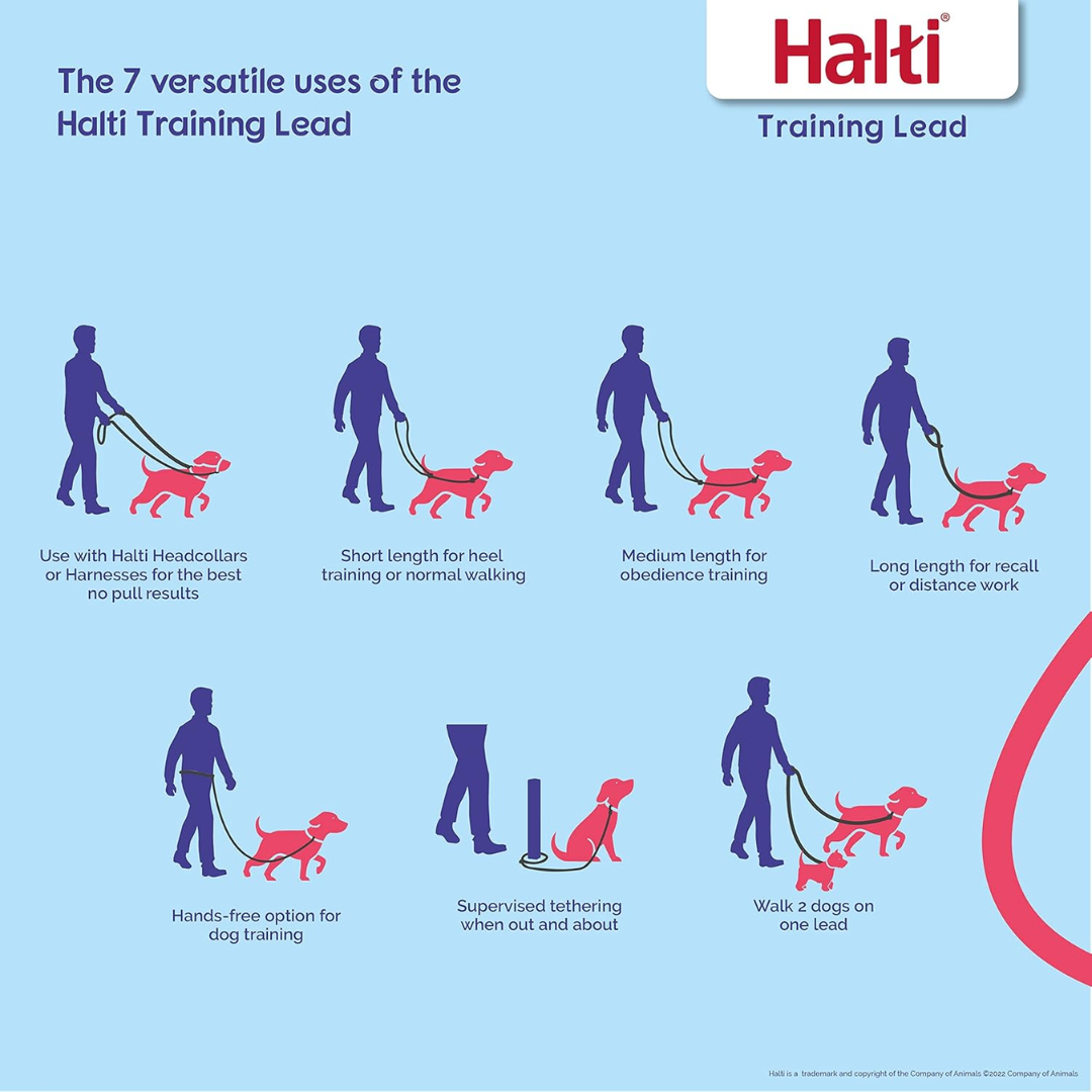 Halti Training Lead