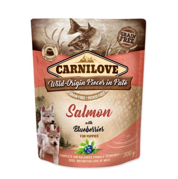 Carnilove Salmon with Blueberries for puppies wet dog food. The packaging is against a white background.