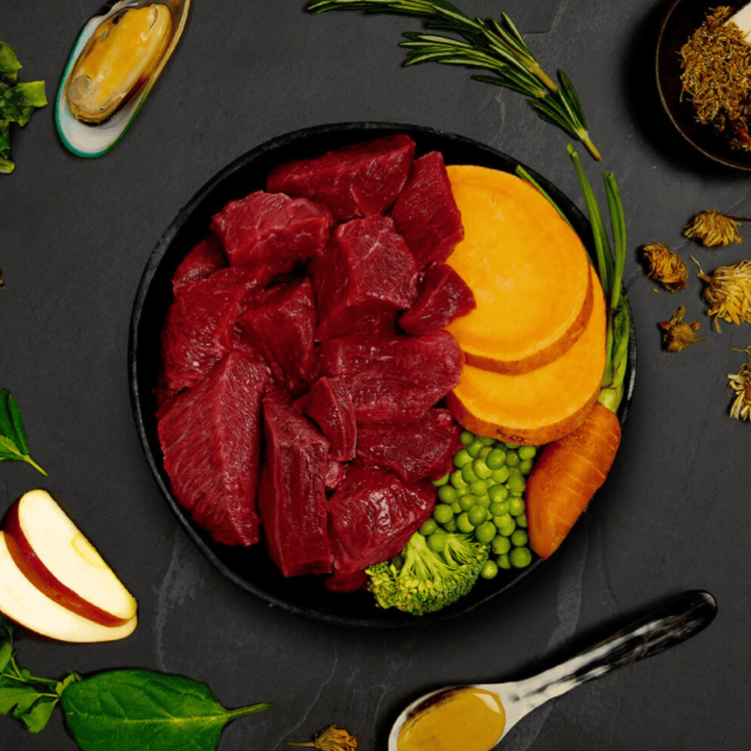 Canagan Beef Stew Wet Dog Food