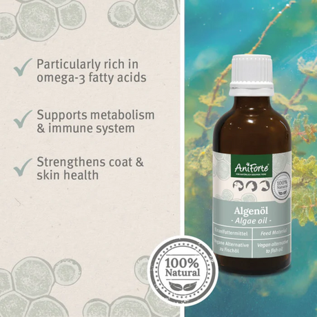 Benefits of Algae Oil - Rich in Omega 3 Fatty Acids, Supports Metabolism and Immune System and Strengthens Coat and Skin Health.