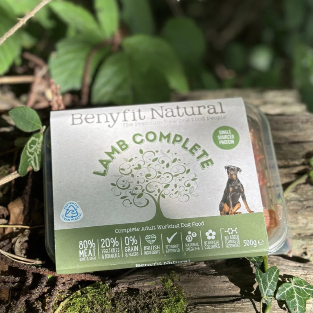 Benyfit Lamb Compete Raw Dog Food