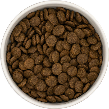 White ceramic bowl of Nourish Rite Grain Free Adult Dog Food in Turkey