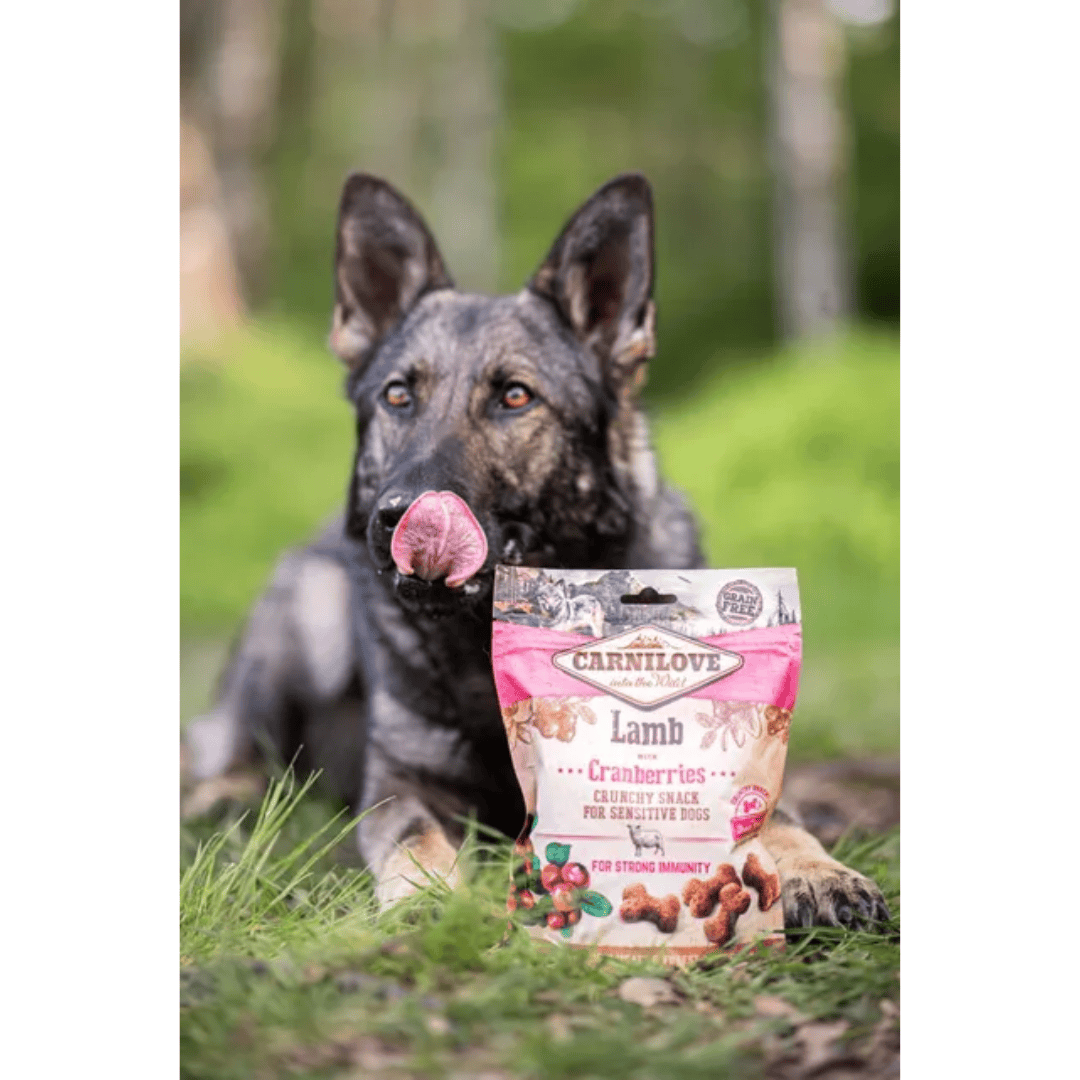 A German Shepherd posing for a photo with the Carnliove Crunchy Snacks, Lamb with Cranberry treats. They are outdoors on the grass with some trees behind them.