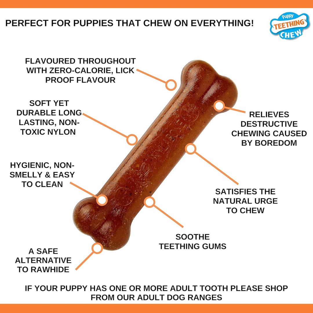 Nylabone Puppy Bone