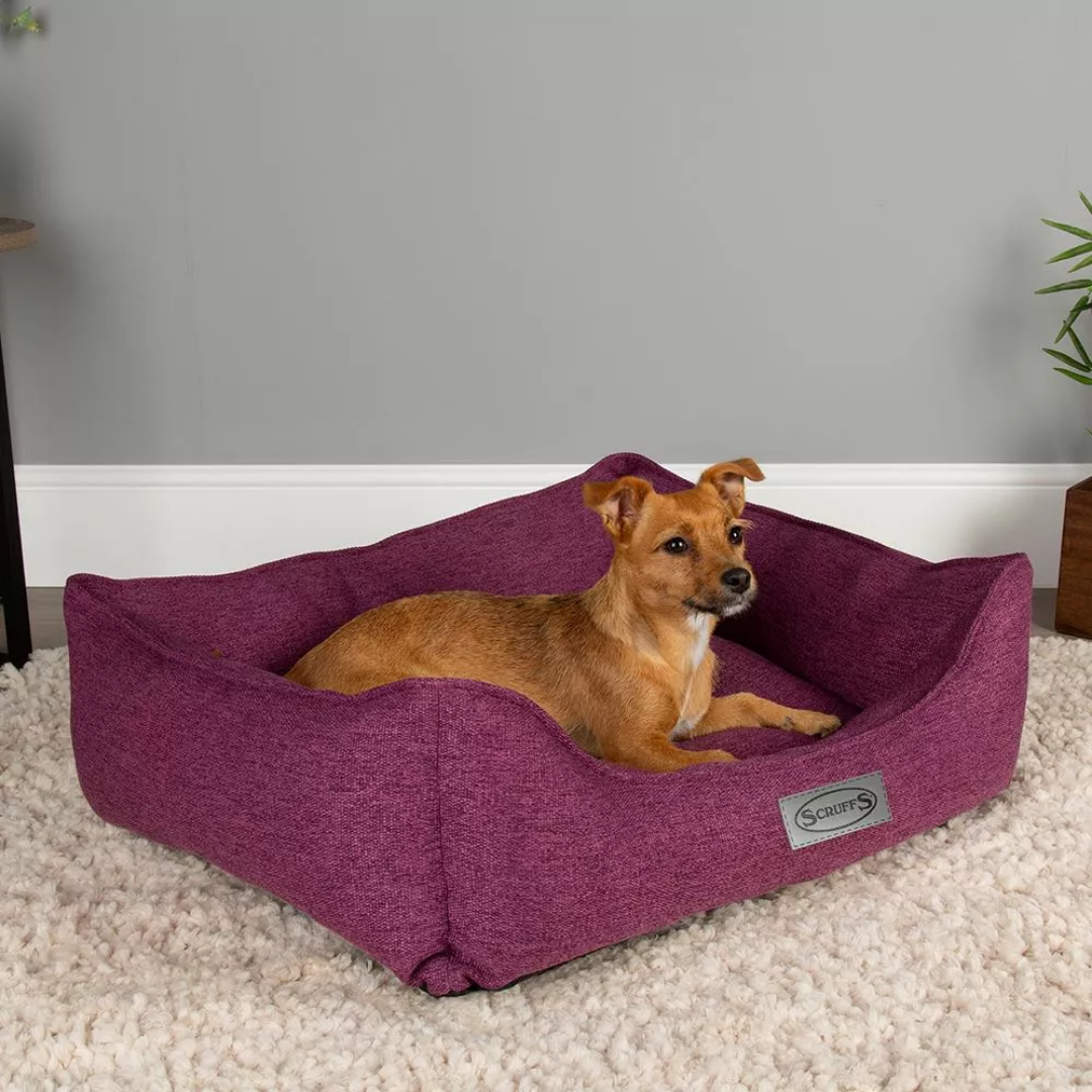 Scruffs Manhattan Box Dog Bed | Berry Purple