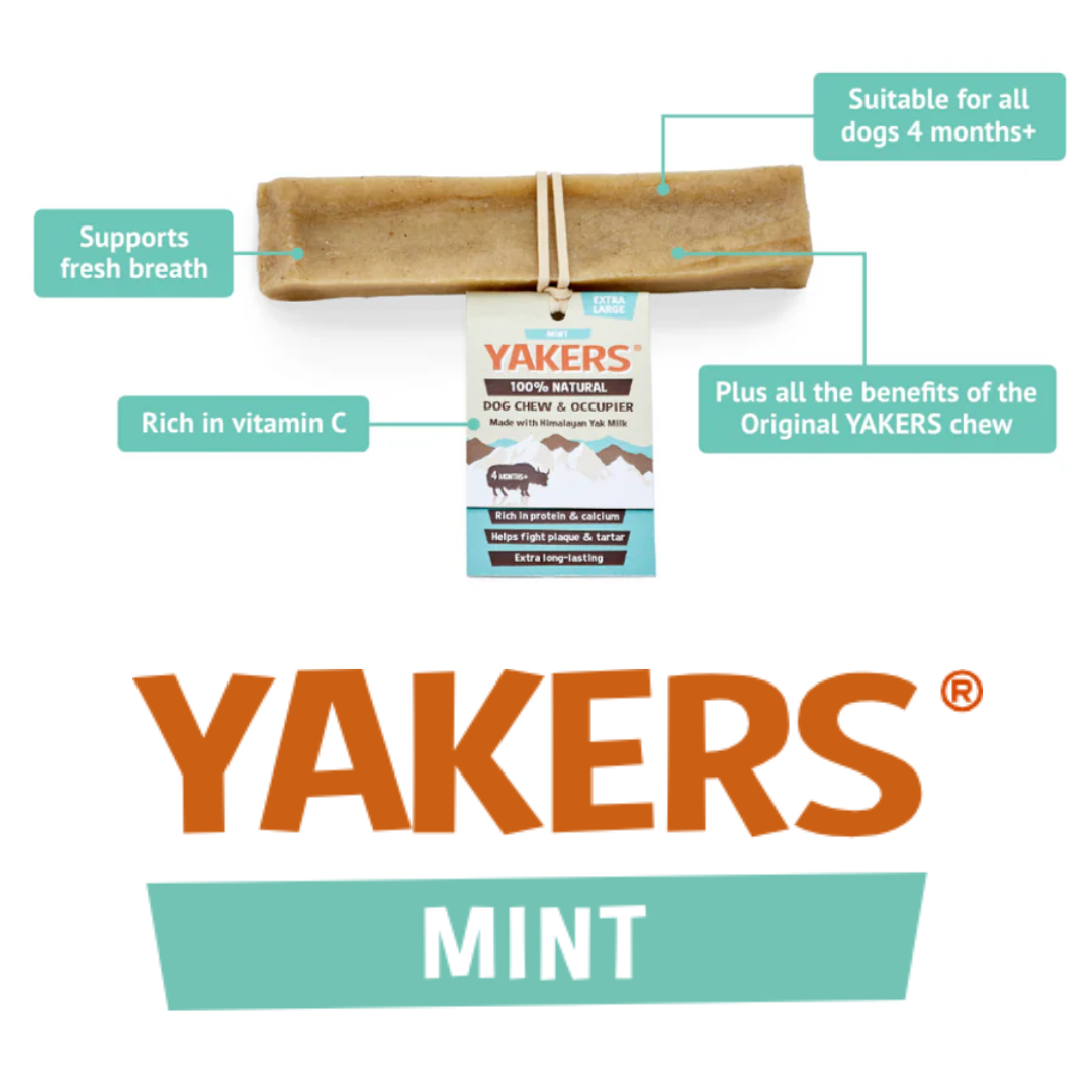 Yakers Mint Himalayan Yak Chew