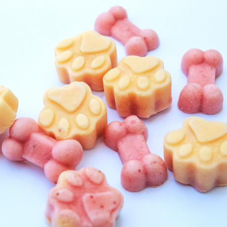 Silicone Paw Moulds | No Fuss Fill