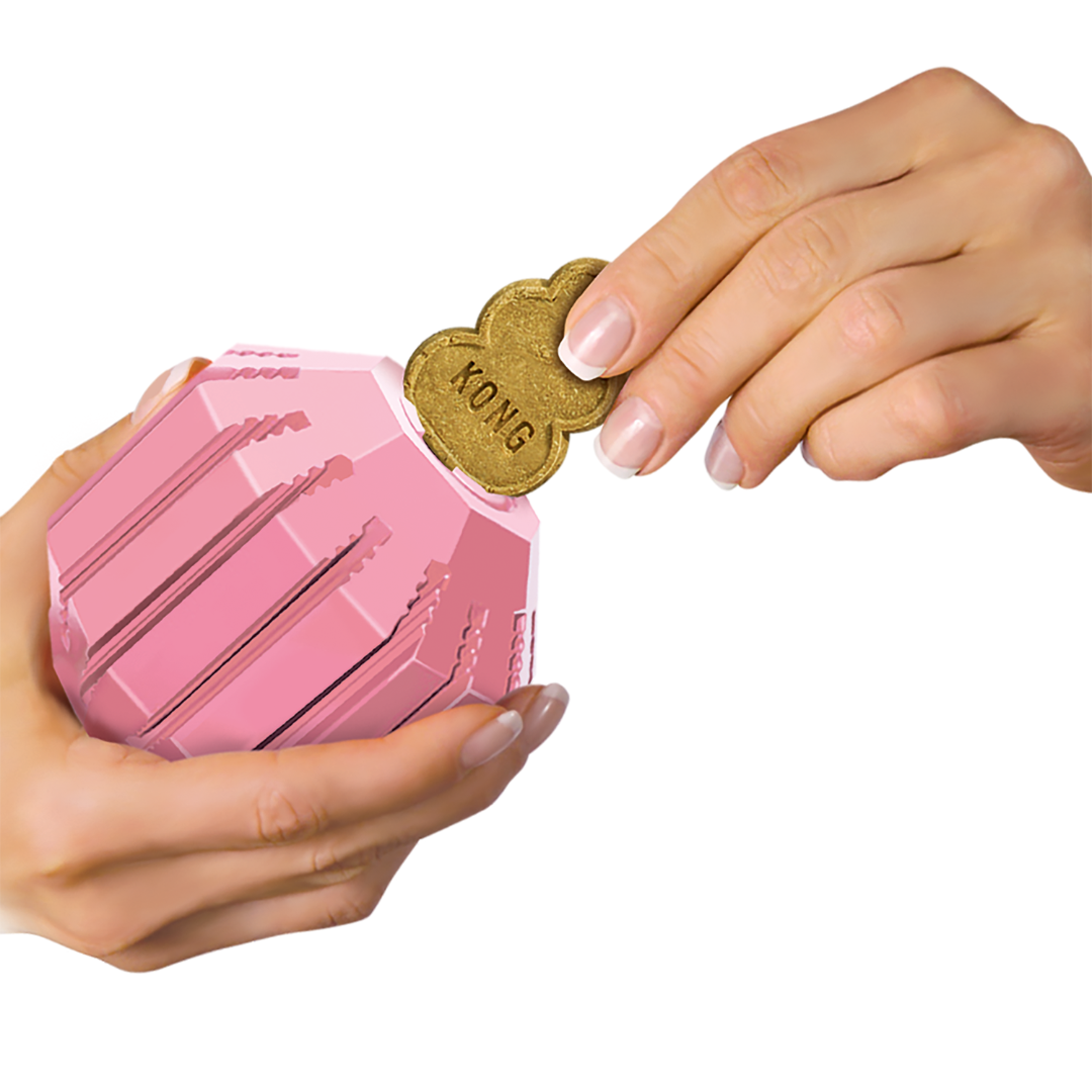 KONG Puppy Activity Ball