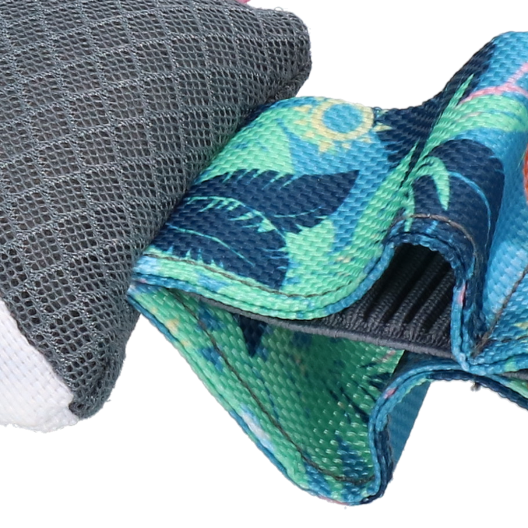 Pull Me Fishy - By CoolPets