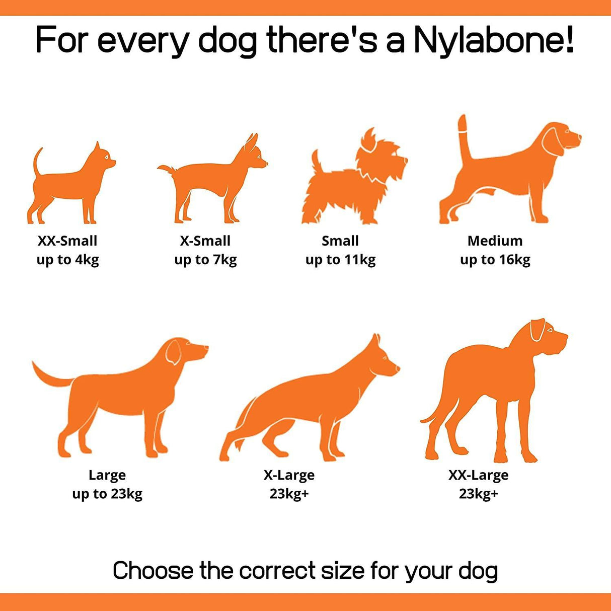 Nylabone Extreme Small Dog Variety Pack