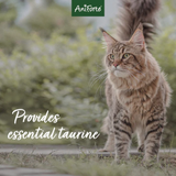 Tabby cat with the text "Provides essential taurine"