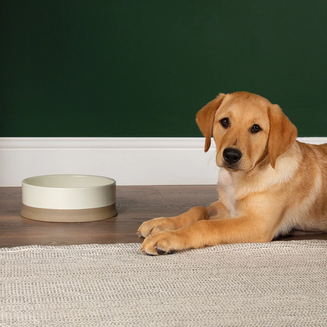 Scruffs Ceramic Non Tip Bowl - Cream
