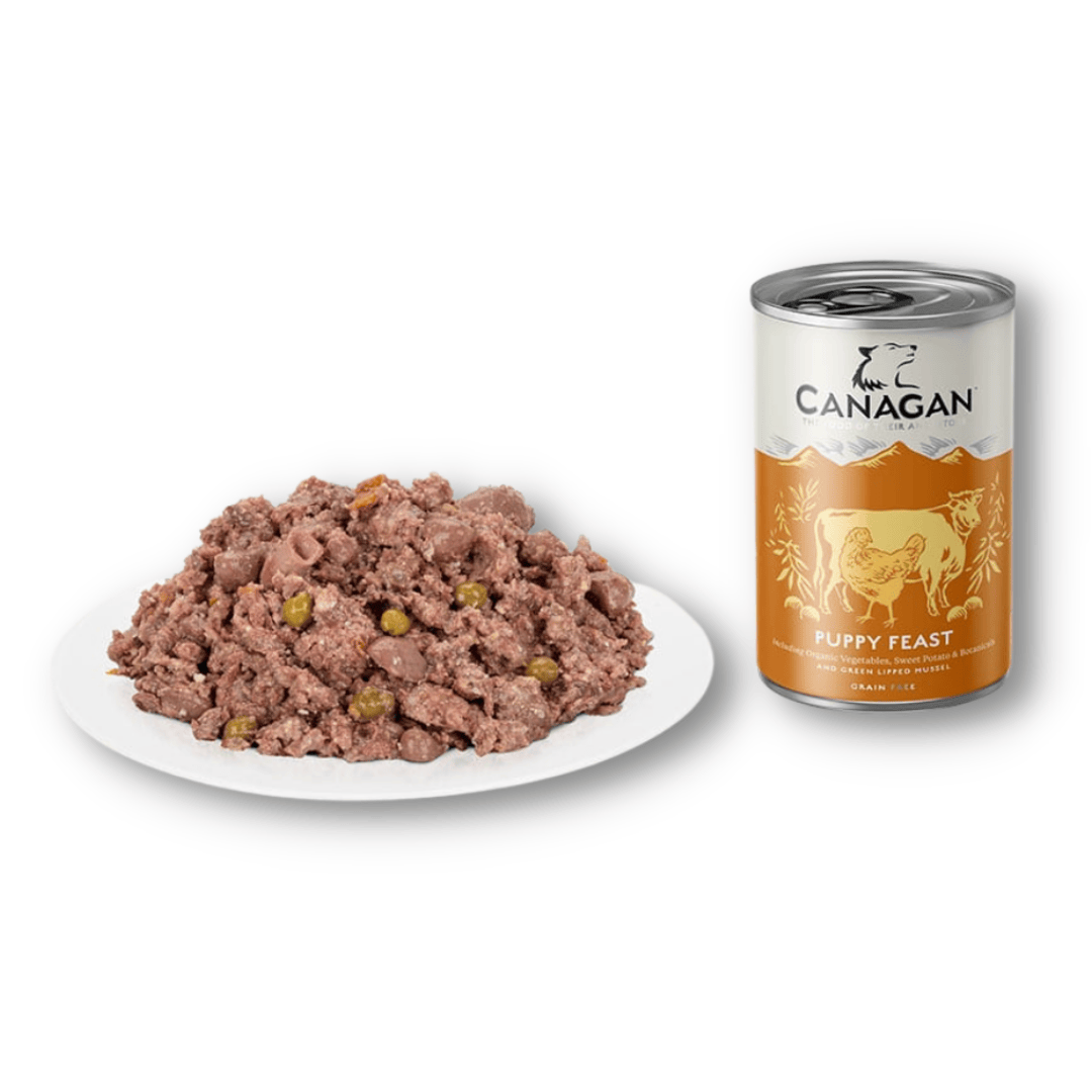 Canagan Puppy Feast Wet Food 400g beside it, it is served on a plate.