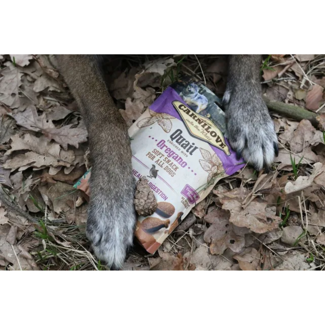 A dogs paws placed on a packet of the Carnilove Quail with Oregano soft snack dog treats. They are in the forest, foliage and acorns surrounding it.