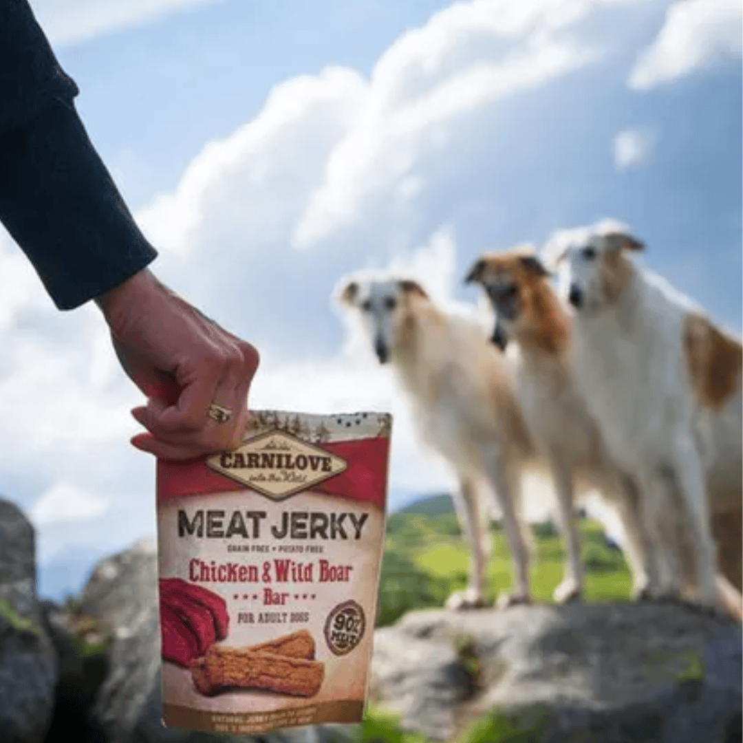 3 Afghan hounds in the background looking onto their owners hand holding on to Carnilove Chicken & Wild Boar Jerky Treats.