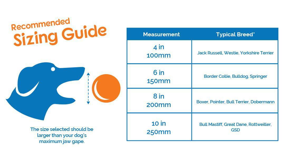 Boomer Ball for Dogs