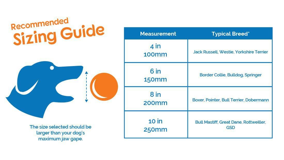 Boomer Ball for Dogs