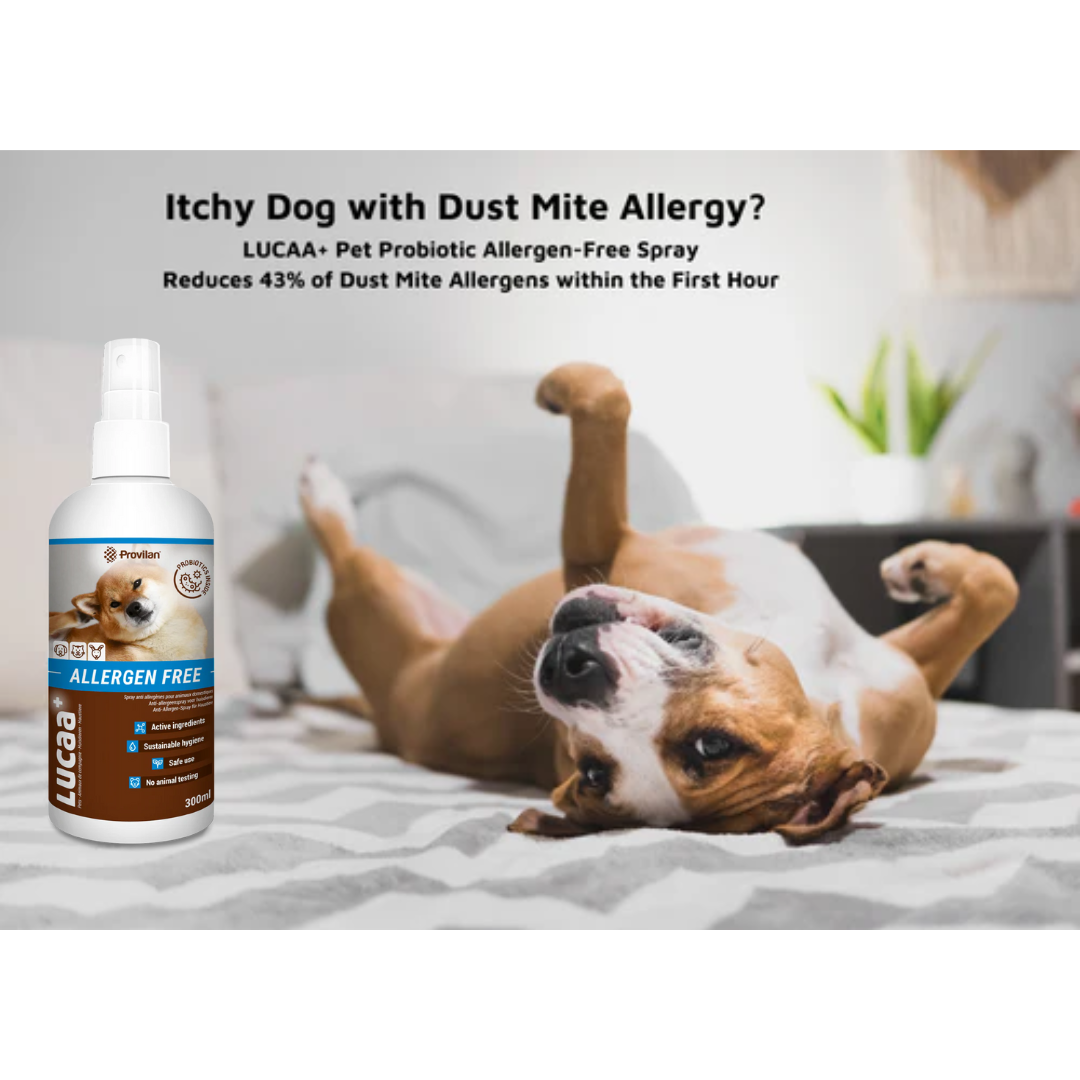 Probiotic Allergen Free Pet Spray | Provilan Lucaa+