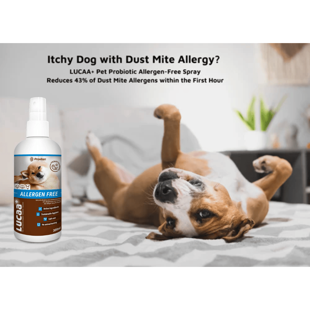 Probiotic Allergen Free Pet Spray | Provilan Lucaa+