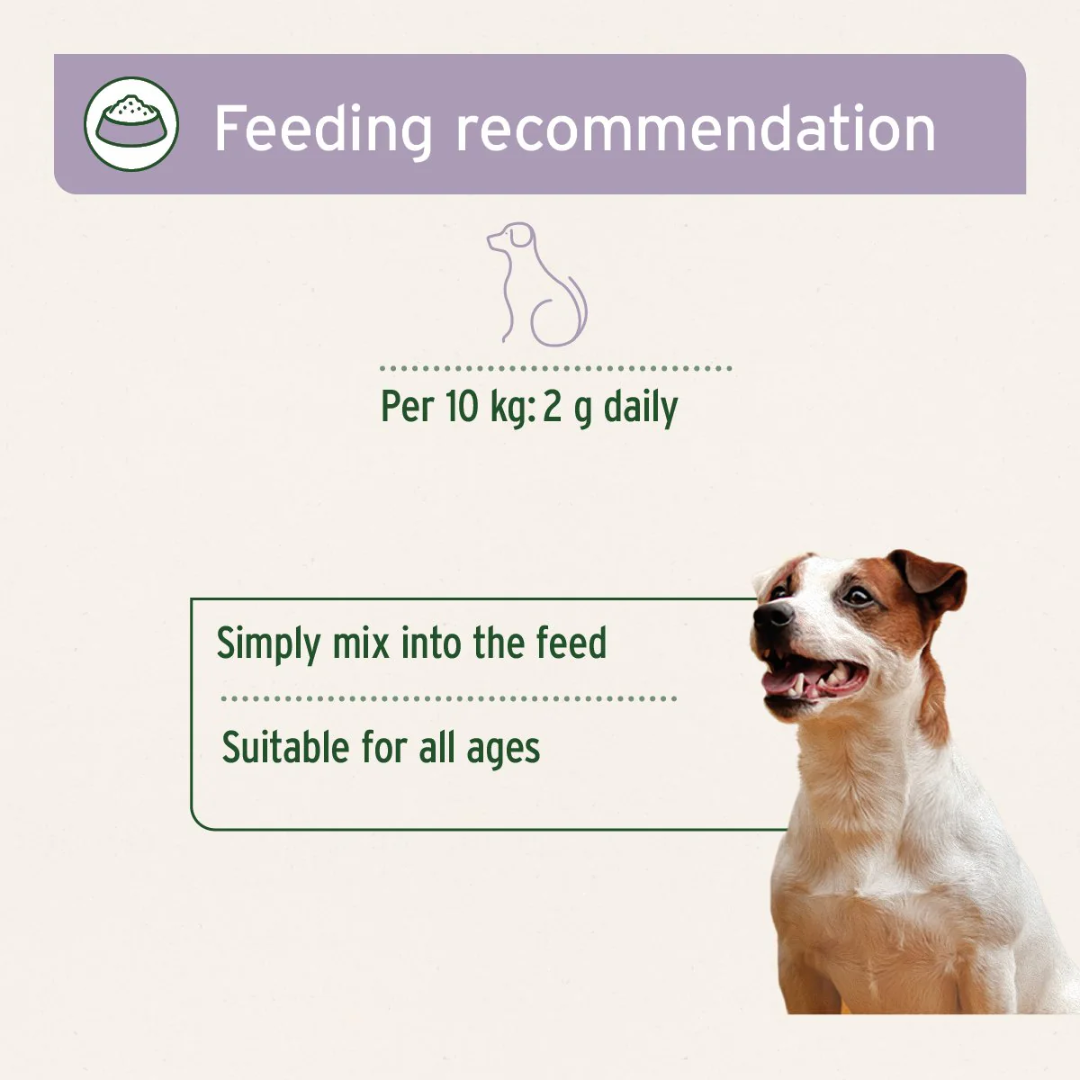 Feeding recommendations for AniForte Calm and Relax Powder: Per 10 of dog weight, feed 2 grams daily, mixed into their food.