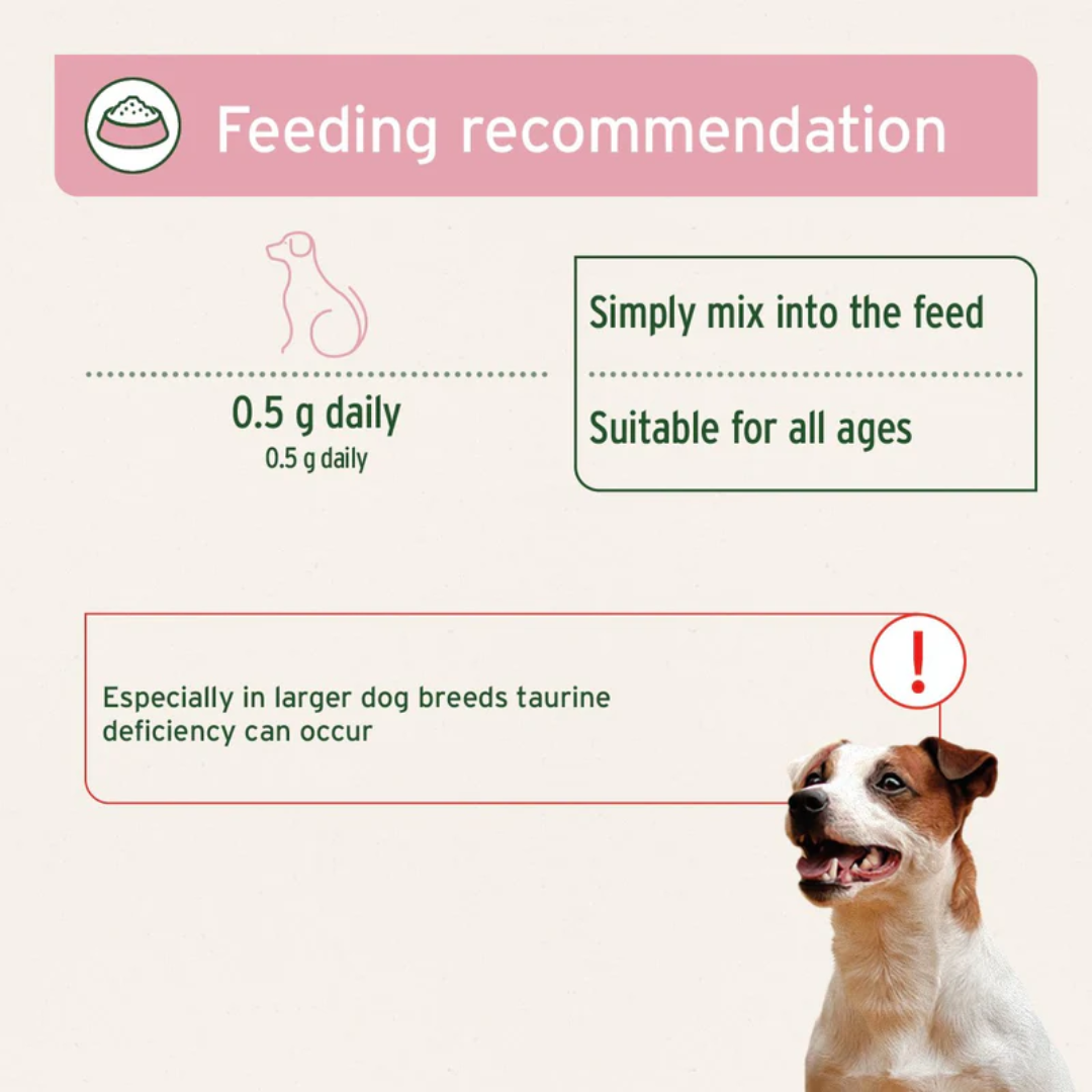 Feeding guidelines for Aniforte Taurine Power for dogs. A note stating bigger dogs can be more prone to deficiency.
